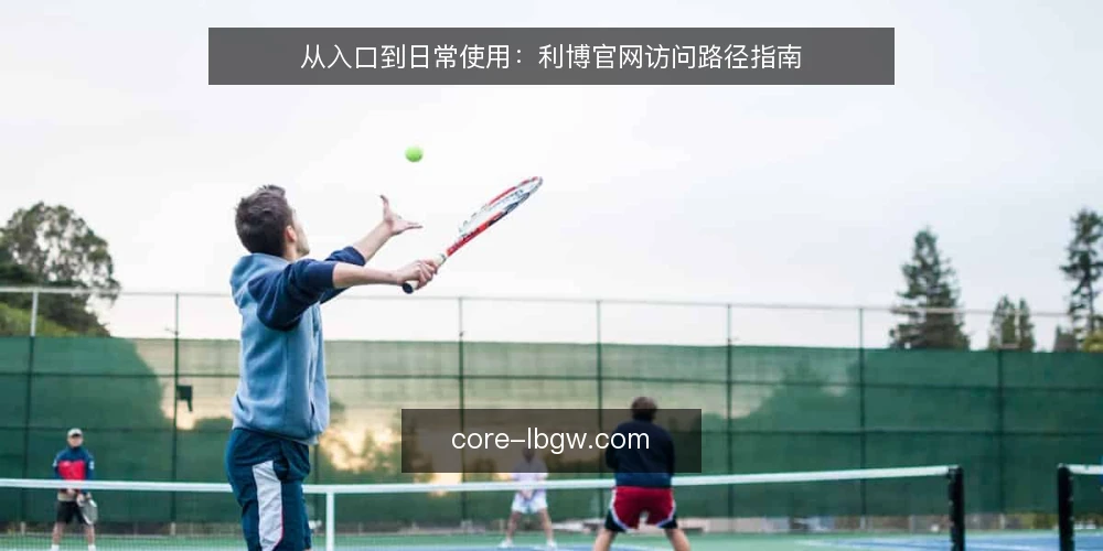 从入口到日常使用：利博官网访问路径指南 — 访问前的准备：明确入口与基本认知 配图