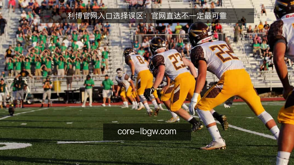利博官网入口选择误区：官网直达不一定最可靠