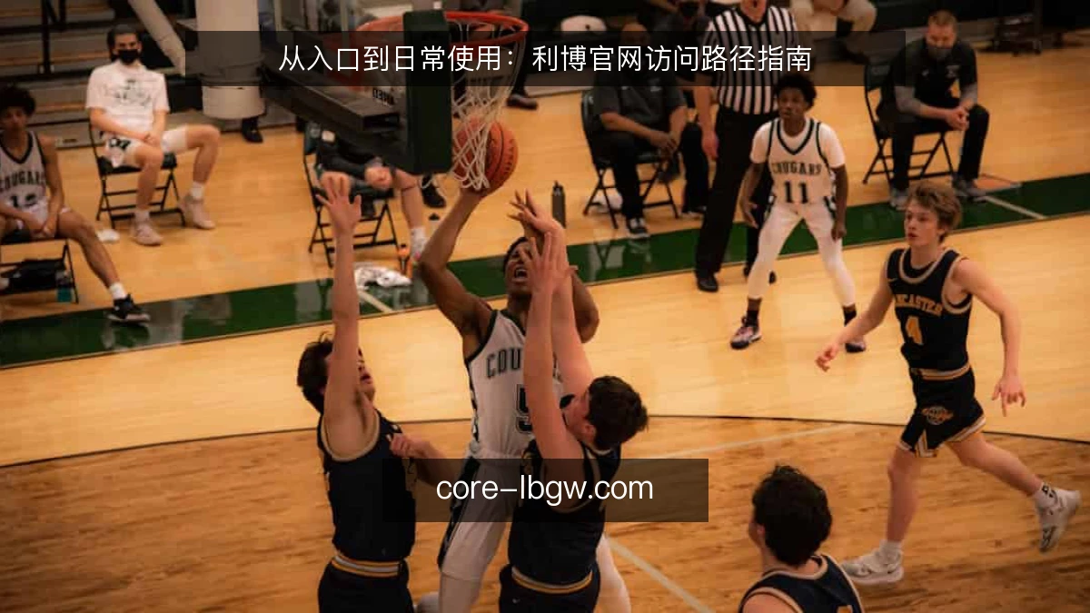 从入口到日常使用：利博官网访问路径指南