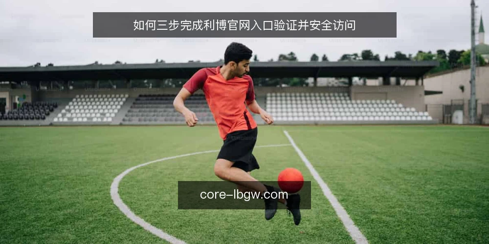 如何三步完成利博官网入口验证并安全访问 — 准备：确认访问设备与网络环境 配图