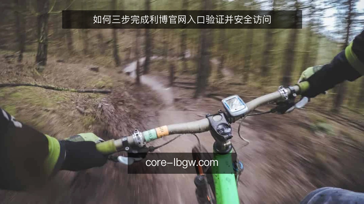如何三步完成利博官网入口验证并安全访问