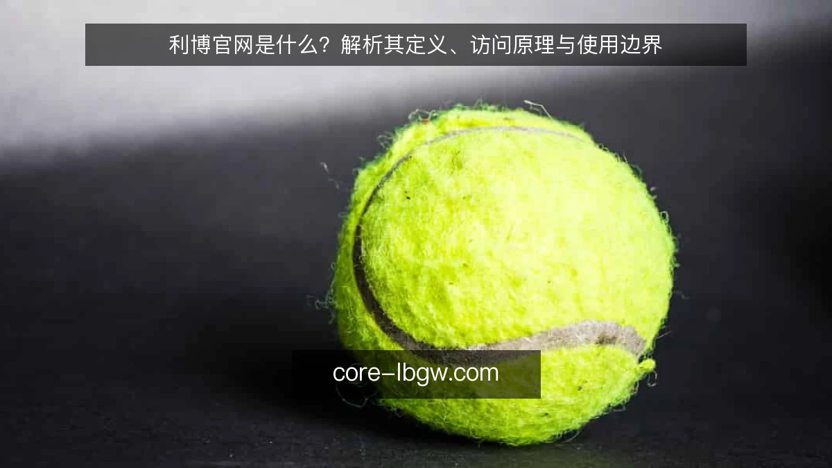 利博官网是什么？解析其定义、访问原理与使用边界