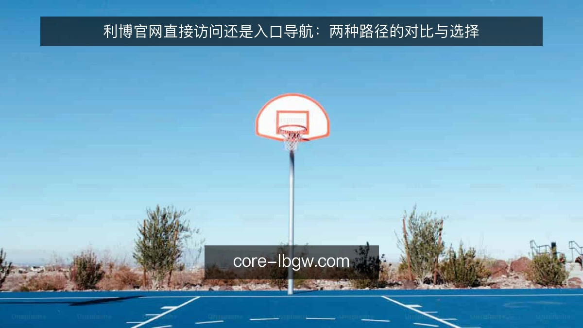 利博官网直接访问还是入口导航:两种路径的对比与选择