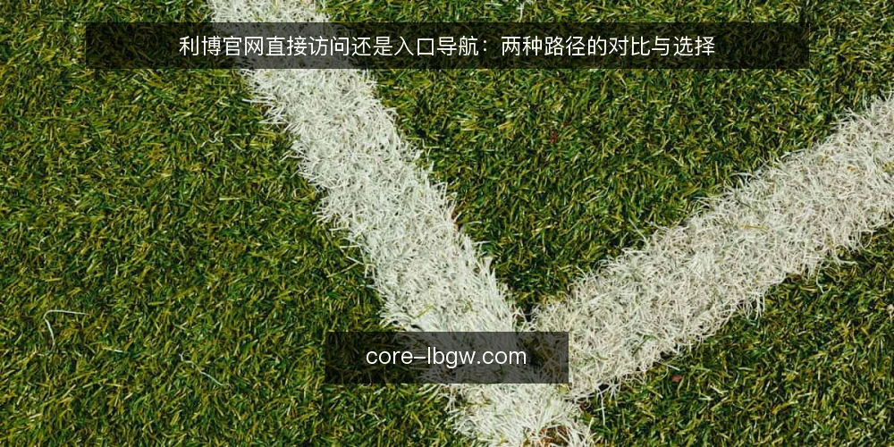 利博官网直接访问还是入口导航:两种路径的对比与选择 — 明确对比基准:访问利博官网的核心诉求 配图