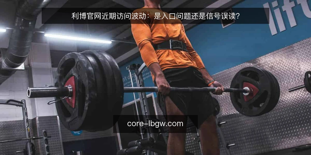 利博官网近期访问波动：是入口问题还是信号误读？ — 近期信号：访问波动与入口变化 配图
