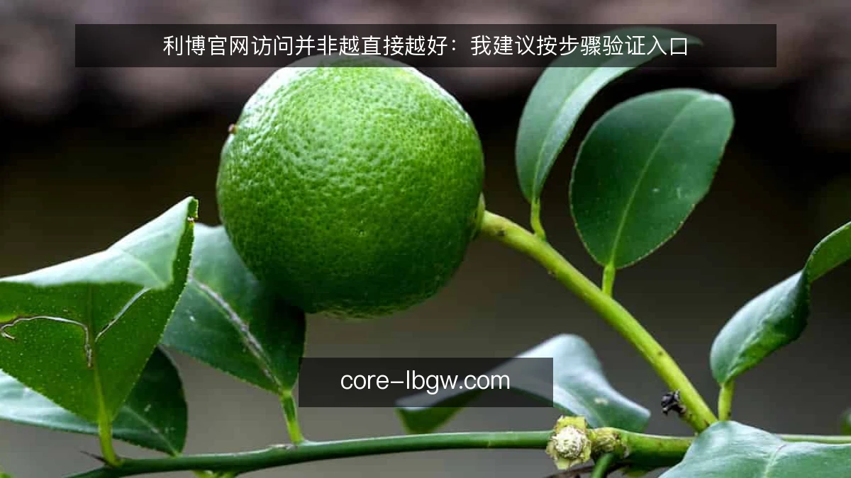 利博官网访问并非越直接越好：我建议按步骤验证入口