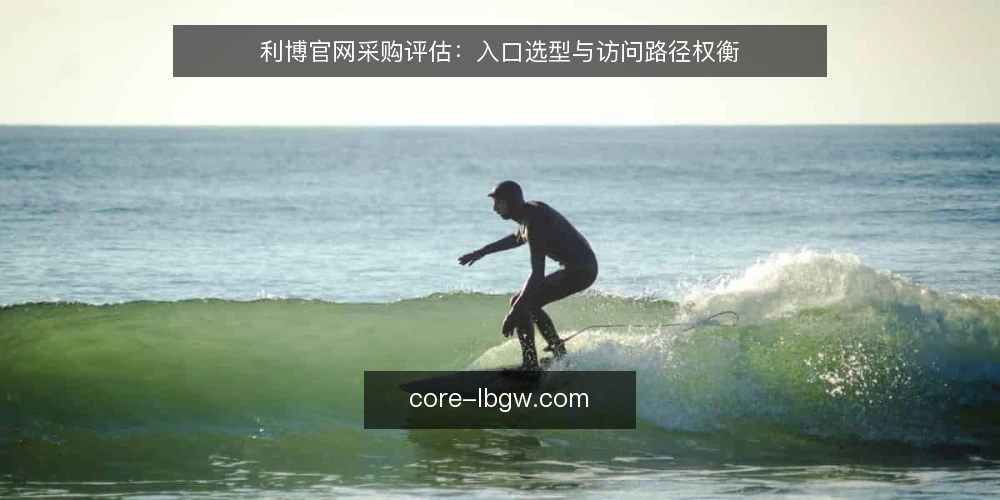 利博官网采购评估：入口选型与访问路径权衡 — 信号观察：访问受阻的常见迹象 配图
