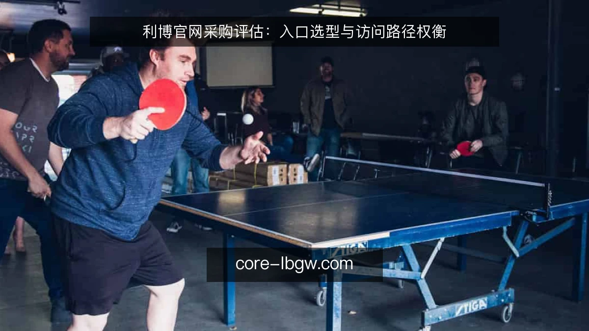 利博官网采购评估：入口选型与访问路径权衡