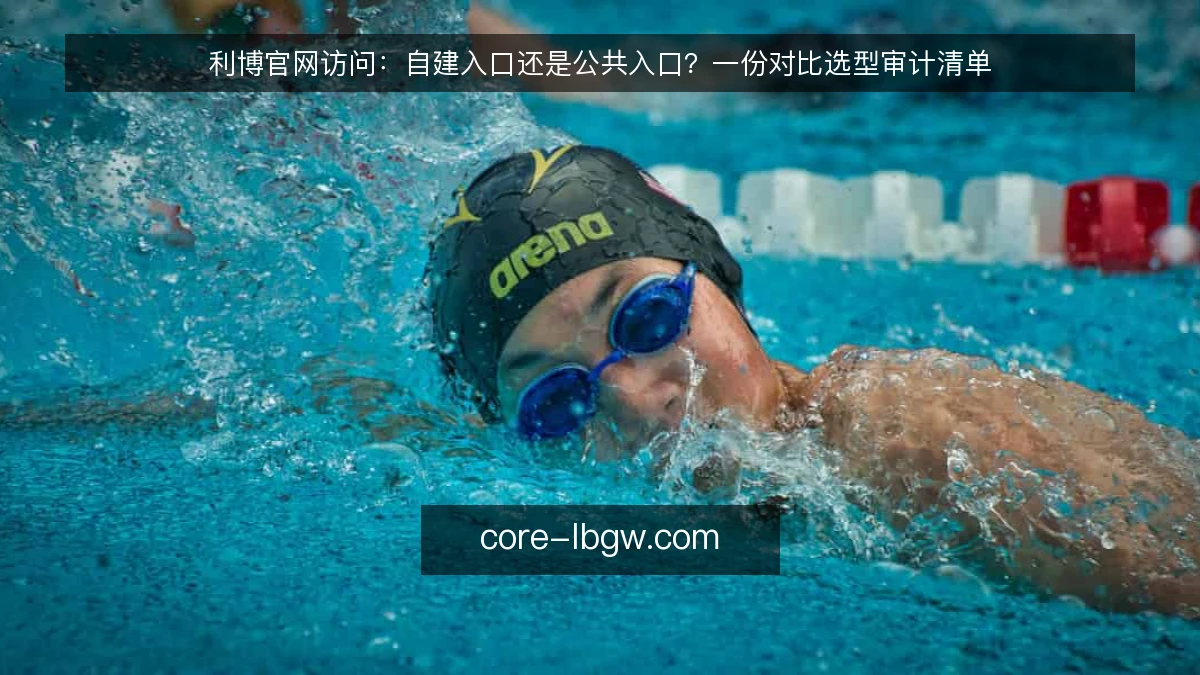 利博官网访问：自建入口还是公共入口？一份对比选型审计清单