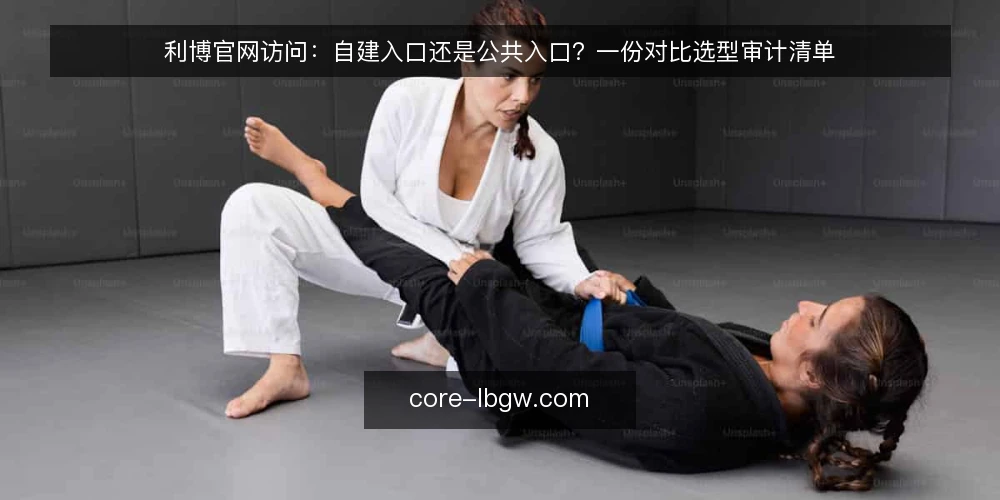 利博官网访问：自建入口还是公共入口？一份对比选型审计清单 — 为什么现在做一次访问方案审计 配图