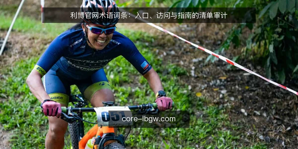 利博官网术语词条：入口、访问与指南的清单审计 — 为什么现在需要审计术语 配图