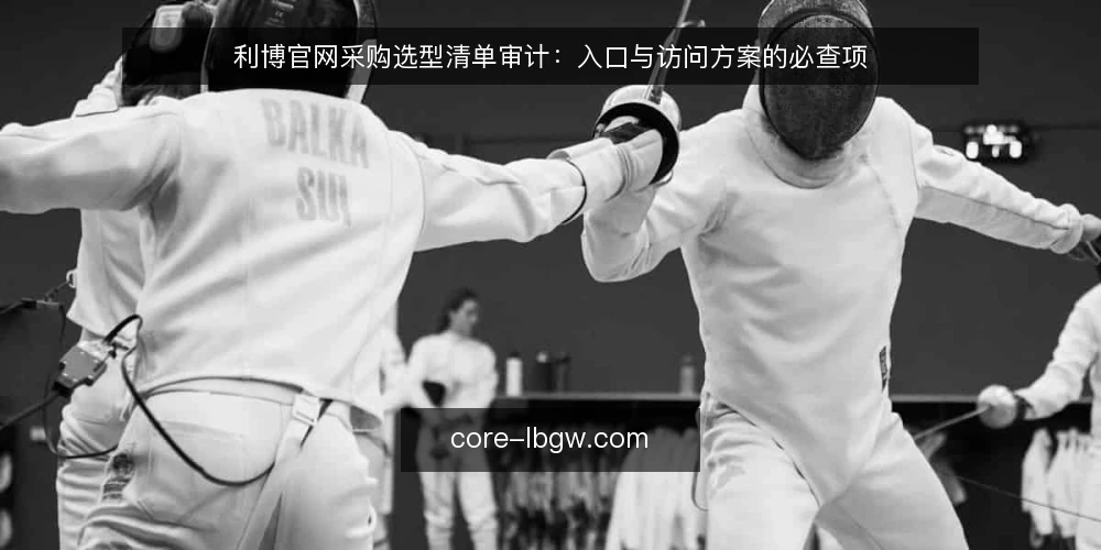 利博官网采购选型清单审计：入口与访问方案的必查项 — 为什么现在做一次利博官网访问审计 配图