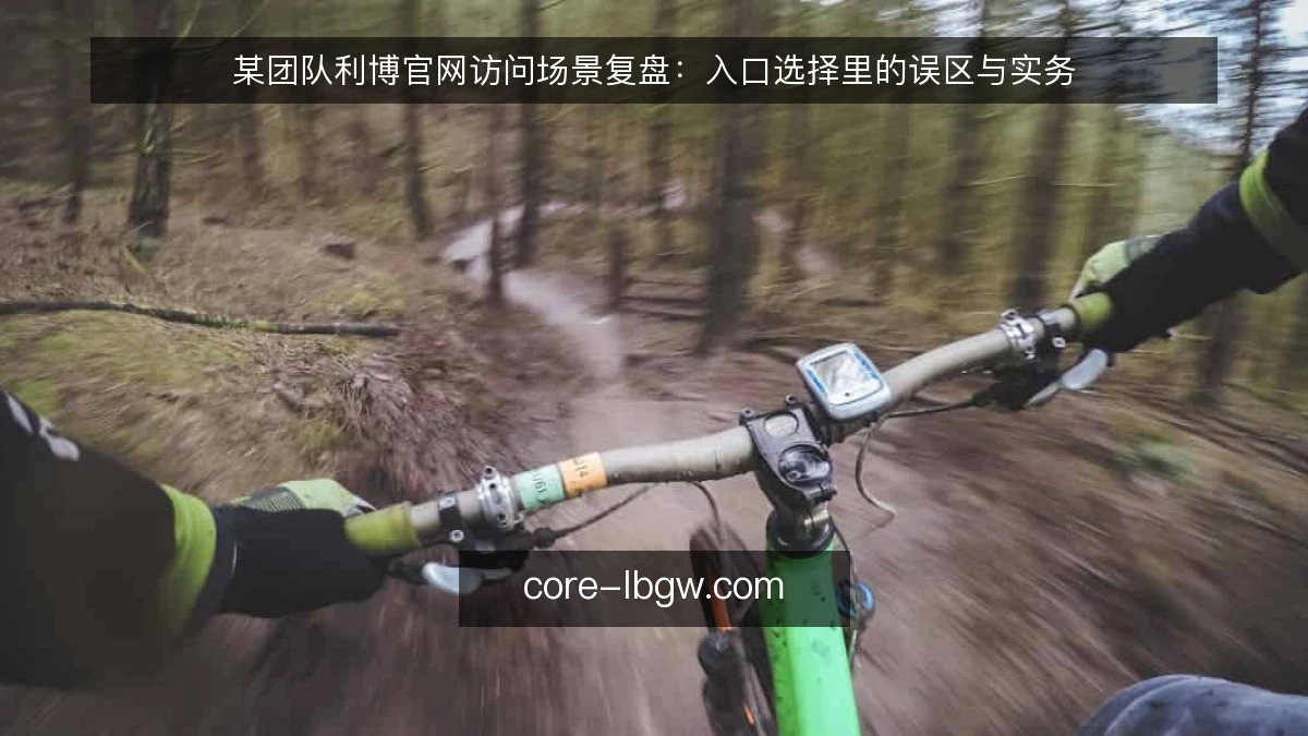 某团队利博官网访问场景复盘:入口选择里的误区与实务